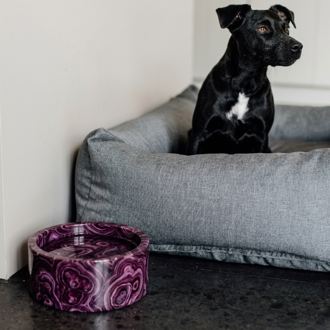 Kairo Pet Bowl (Round)