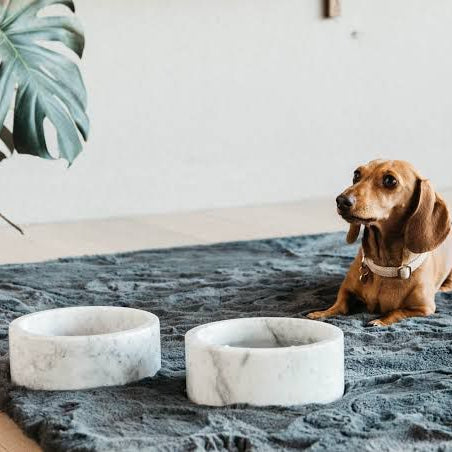 Kairo Pet Bowl (Round)