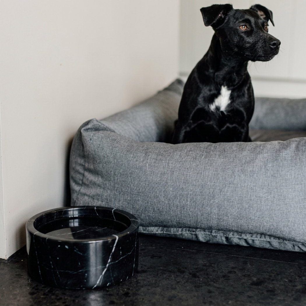 Kairo Pet Bowl (Round)