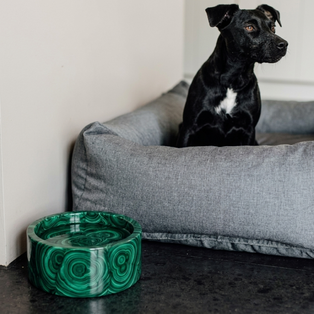 Kairo Pet Bowl (Round)