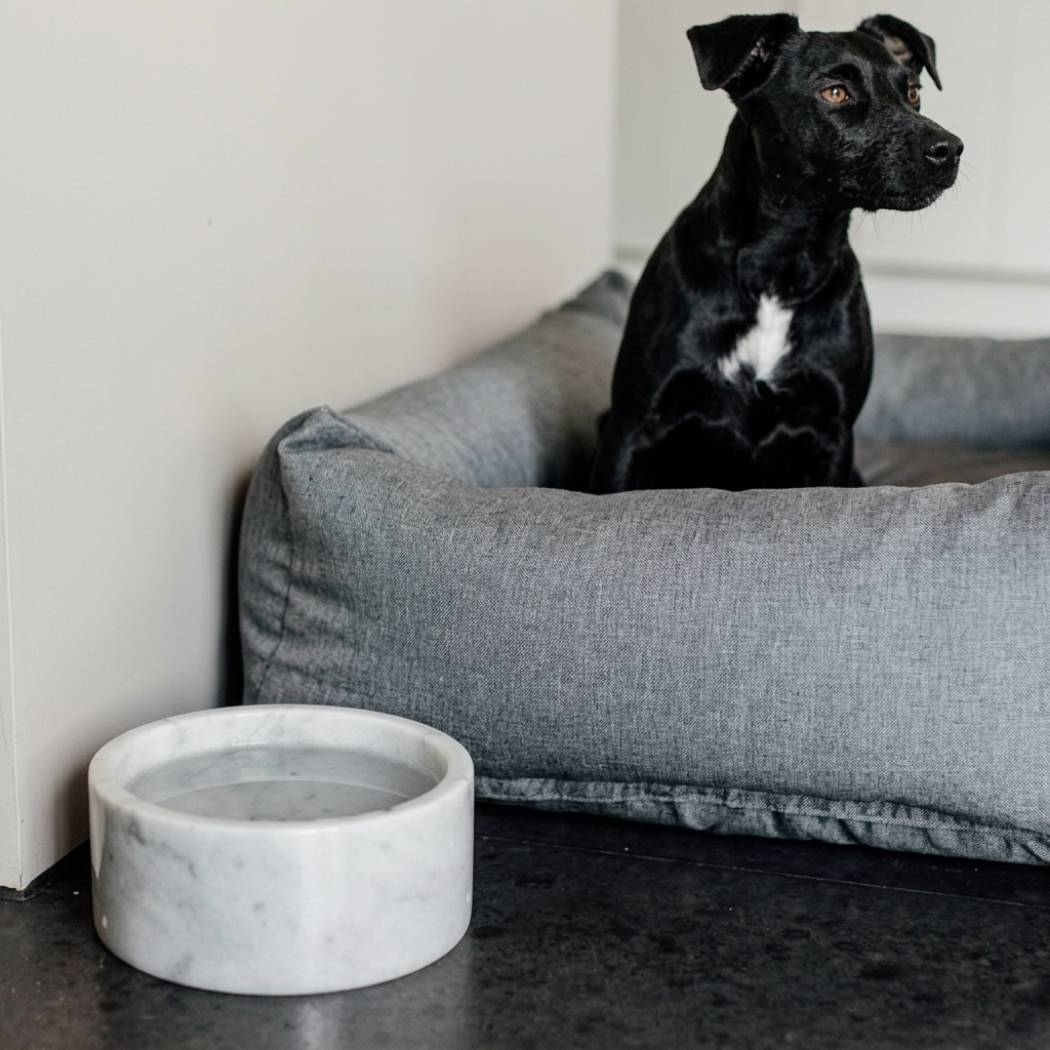 Kairo Pet Bowl (Round)
